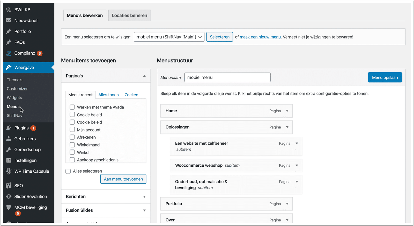 Beheeromgeving van een professionele WordPress website